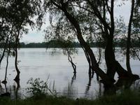 Vilkovo