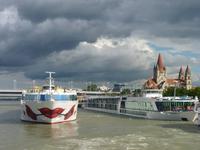 aRosa in Wien