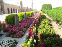 Außenanlage der Moschee in Muscat