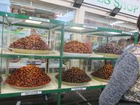 Datteln in allen möglichen Varianten