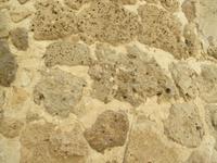 Baumaterial Korallen 