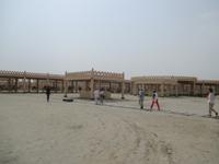 Königliche Kamelfarm 