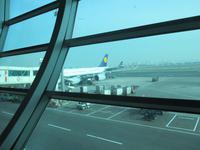 Mit Lufthansa nach Hause