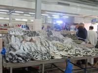 AbuDabi Fischmarkt