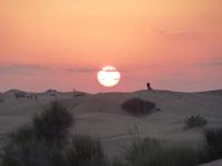 033 Dubai - Wüstencamp und orientalische Show