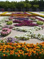 106 Muscat im Oman - Besichtigung der Großen Moschee