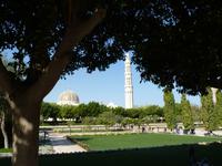 107 Muscat im Oman - Besichtigung der Großen Moschee