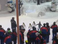 Mall of Emirates Skihalle