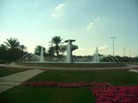 Stadtrundfahrt in Abu Dhabi