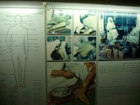 Bahrain (Besuch des Nationalmuseums in Manama)