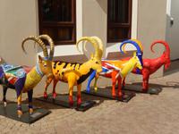 131 Muscat - Museum_Oman