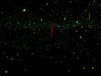 205 Abu Dhabi - Museum Manarat Al Saadiyat