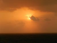 264 Bye Bye Abu Dhabi