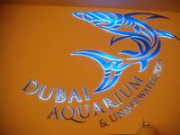 Dubai Mall (Aquarium & Unterwasserzoo)