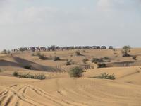 Jeep Safari
