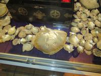 Muscheln mit Perlen