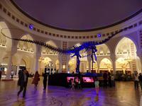 Dubai Mall
