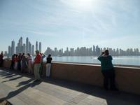 Auf der Palme mit Blick auf das Festland