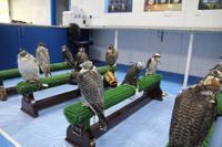 Behandlungszimmer Falkenklinik