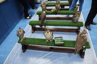 in der Arztpraxis der Falkenklinik