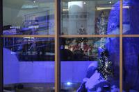 Ski Dubai - Mall of Emirates