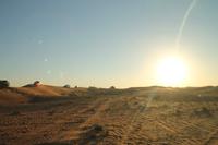Dubai - Wüstensafari
