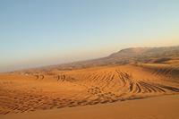 Dubai - Wüstensafari