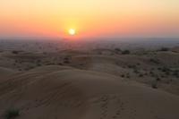 Dubai - Wüstensafari