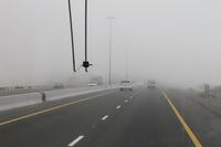 Ausflug zur Ostküste