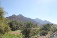 Ausflug zur Ostküste - Hajar Gebirge