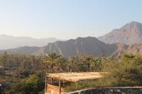 Ausflug zur Ostküste - Al Badiyah Moschee