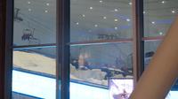Skihalle in der Mall of the Emirates