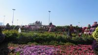 Miracle Garden