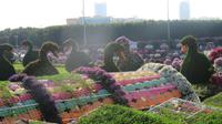 Miracle Garden
