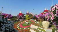 Miracle Garden