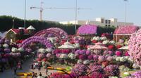 Miracle Garden
