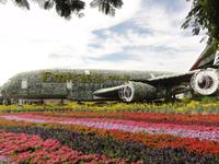 Dubai Miracle Garden