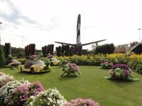 Dubai Miracle Garden