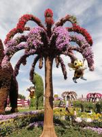 Dubai Miracle Garden