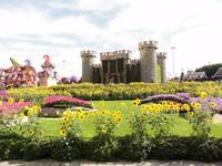 Dubai Miracle Garden