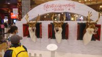 Weihnachtslieder in der Mall of the Emirates