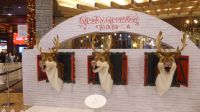 Weihnachtslieder in der Mall of the Emirates