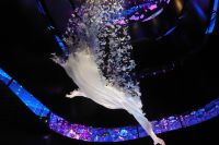 EXPO 2020 - im Mobilitätspavillon