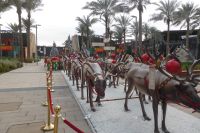 EXPO 2020 - Weihnachtsschmuck