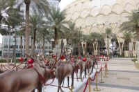 EXPO 2020 - Weihnachtsschmuck