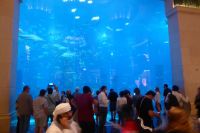 Aquarium im Atlantis Hotel