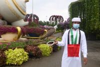 Dubai Miracle Garden