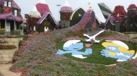 Dubai Miracle Garden