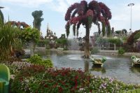 Dubai Miracle Garden