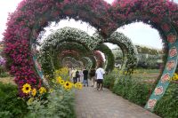 Dubai Miracle Garden